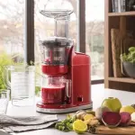 Come scegliere un buon estrattore di succo