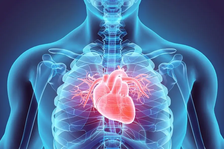 Problemi alle Valvole Cardiache